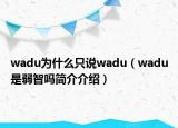 wadu為什么只說wadu（wadu是弱智嗎簡介介紹）