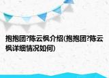 抱抱團?陳云楓介紹(抱抱團?陳云楓詳細(xì)情況如何)