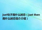 just句子用什么時(shí)態(tài)（just then用什么時(shí)態(tài)簡(jiǎn)介介紹）