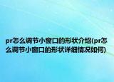 pr怎么調(diào)節(jié)小窗口的形狀介紹(pr怎么調(diào)節(jié)小窗口的形狀詳細(xì)情況如何)