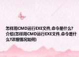 怎樣用CMD運行EXE文件,命令是什么?介紹(怎樣用CMD運行EXE文件,命令是什么?詳細情況如何)