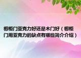 櫥柜門亞克力好還是木門好（櫥柜門用亞克力的缺點有哪些簡介介紹）