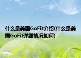 什么是美國(guó)GoFit介紹(什么是美國(guó)GoFit詳細(xì)情況如何)