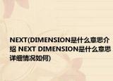 NEXT(DIMENSION是什么意思介紹 NEXT DIMENSION是什么意思詳細情況如何)