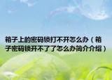 箱子上的密碼鎖打不開怎么辦（箱子密碼鎖開不了了怎么辦簡介介紹）