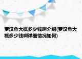 羅漢魚大概多少錢啊介紹(羅漢魚大概多少錢啊詳細(xì)情況如何)