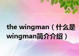 the wingman（什么是wingman簡介介紹）