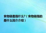 食物鏈?zhǔn)侵甘裁?（食物鏈指的是什么簡(jiǎn)介介紹）