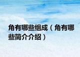 角有哪些組成（角有哪些簡(jiǎn)介介紹）