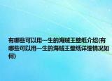 有哪些可以用一生的海賊王壁紙介紹(有哪些可以用一生的海賊王壁紙?jiān)敿?xì)情況如何)