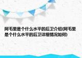 阿毛里是個什么水平的后衛(wèi)介紹(阿毛里是個什么水平的后衛(wèi)詳細情況如何)