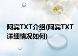 阿賓TXT介紹(阿賓TXT詳細情況如何)