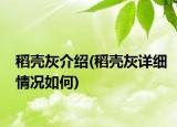 稻殼灰介紹(稻殼灰詳細(xì)情況如何)