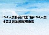 EVA人類補(bǔ)完計(jì)劃介紹(EVA人類補(bǔ)完計(jì)劃詳細(xì)情況如何)