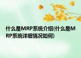 什么是MRP系統(tǒng)介紹(什么是MRP系統(tǒng)詳細(xì)情況如何)