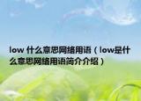 low 什么意思網(wǎng)絡(luò)用語（low是什么意思網(wǎng)絡(luò)用語簡介介紹）