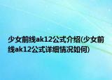 少女前線ak12公式介紹(少女前線ak12公式詳細情況如何)