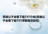 黑道公子全集下載TXT介紹(黑道公子全集下載TXT詳細(xì)情況如何)