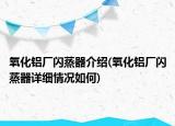 氧化鋁廠閃蒸器介紹(氧化鋁廠閃蒸器詳細(xì)情況如何)