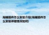 海鰻插件怎么安裝介紹(海鰻插件怎么安裝詳細情況如何)