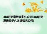 dnf升到滿(mǎn)級(jí)要多久介紹(dnf升到滿(mǎn)級(jí)要多久詳細(xì)情況如何)