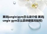 英語(yǔ)jungle(gym怎么讀介紹 英語(yǔ)jungle gym怎么讀詳細(xì)情況如何)