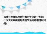 有什么大陸電視劇好看的生活片介紹(有什么大陸電視劇好看的生活片詳細(xì)情況如何)