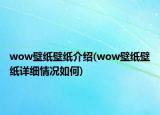 wow壁紙壁紙介紹(wow壁紙壁紙詳細情況如何)