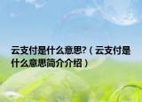 云支付是什么意思?（云支付是什么意思簡(jiǎn)介介紹）