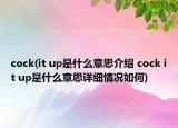 cock(it up是什么意思介紹 cock it up是什么意思詳細(xì)情況如何)