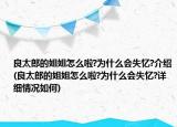 良太郎的姐姐怎么啦?為什么會失憶?介紹(良太郎的姐姐怎么啦?為什么會失憶?詳細情況如何)