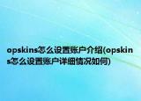 opskins怎么設(shè)置賬戶介紹(opskins怎么設(shè)置賬戶詳細情況如何)