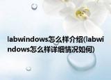 labwindows怎么樣介紹(labwindows怎么樣詳細情況如何)