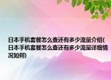 日本手機(jī)套餐怎么查還有多少流量介紹(日本手機(jī)套餐怎么查還有多少流量詳細(xì)情況如何)