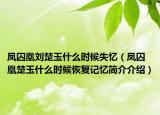 鳳囚凰劉楚玉什么時候失憶（鳳囚凰楚玉什么時候恢復(fù)記憶簡介介紹）