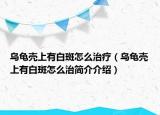 烏龜殼上有白斑怎么治療（烏龜殼上有白斑怎么治簡介介紹）