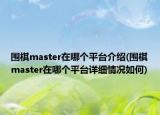 圍棋master在哪個平臺介紹(圍棋master在哪個平臺詳細情況如何)