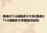 奧迪Q73.6油耗多少介紹(奧迪Q73.6油耗多少詳細(xì)情況如何)