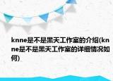 knne是不是黑天工作室的介紹(knne是不是黑天工作室的詳細(xì)情況如何)