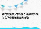 櫻花動漫怎么下動漫介紹(櫻花動漫怎么下動漫詳細(xì)情況如何)