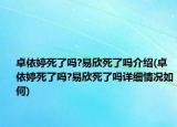 卓依婷死了嗎?易欣死了嗎介紹(卓依婷死了嗎?易欣死了嗎詳細情況如何)