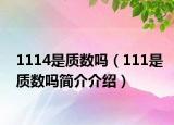 1114是質(zhì)數(shù)嗎（111是質(zhì)數(shù)嗎簡(jiǎn)介介紹）