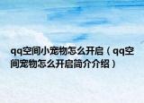 qq空間小寵物怎么開啟（qq空間寵物怎么開啟簡介介紹）