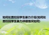 如何處置校園學生暴力介紹(如何處置校園學生暴力詳細情況如何)