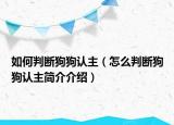 如何判斷狗狗認(rèn)主（怎么判斷狗狗認(rèn)主簡介介紹）