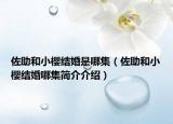 佐助和小櫻結(jié)婚是哪集（佐助和小櫻結(jié)婚哪集簡(jiǎn)介介紹）