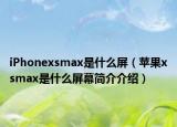 iPhonexsmax是什么屏（蘋果xsmax是什么屏幕簡介介紹）