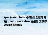 ipad(mini Retina屏是什么意思介紹 ipad mini Retina屏是什么意思詳細(xì)情況如何)