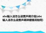 abc輸入法怎么設(shè)置聲調(diào)介紹(abc輸入法怎么設(shè)置聲調(diào)詳細(xì)情況如何)