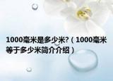 1000毫米是多少米?（1000毫米等于多少米簡介介紹）